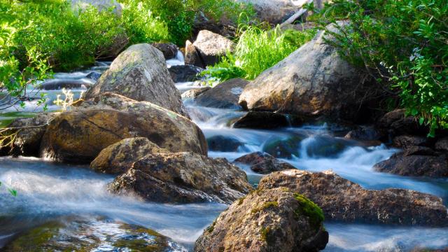Rapidly-flowing stream of water interspersed with large rocks
