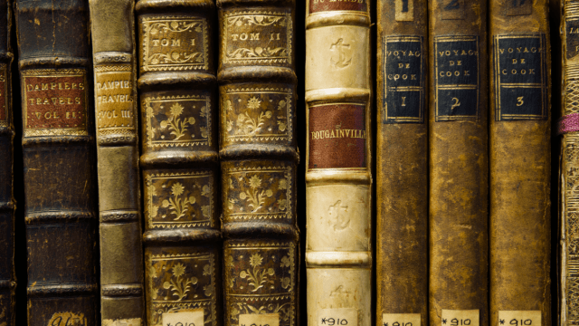 spines of antique books gender-neutral english