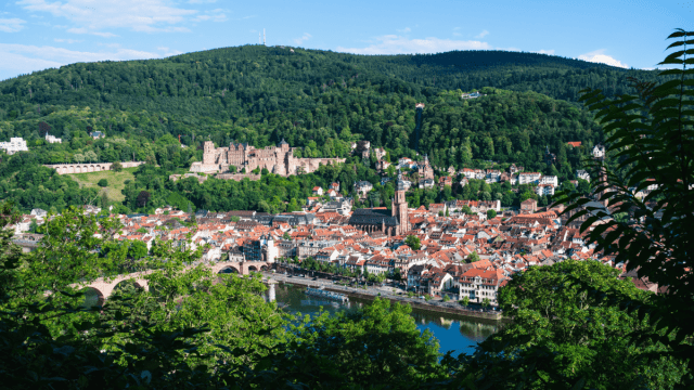 German dialects represented by a view of a small German city from afar, with several buildings with red roofs.