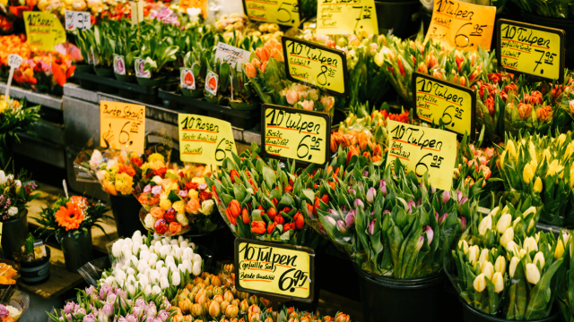 Dutch numbers represented by a tulip market with signs showing the prices of various flowers.