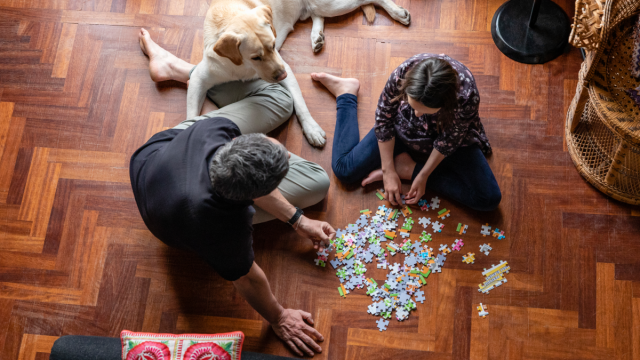 A couple and their dog doing a puzzle to represent the parts of speech